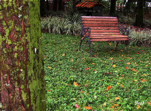banco de jardin témoignage de bénévole